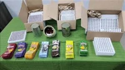 مطار القاهرة: ضبط كمية من مخدر شمع الحشيش داخل طرد قادم من بلجيكا