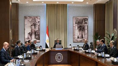 رئيس الوزراء يشهد عبر الفيديو كونفرانس افتتاح 5 فروع لصيدليات 