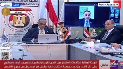 استمرار عمل اللجان الفرعية.. الهيئة الوطنية: الاقبال غير مسبوق من الناخبين