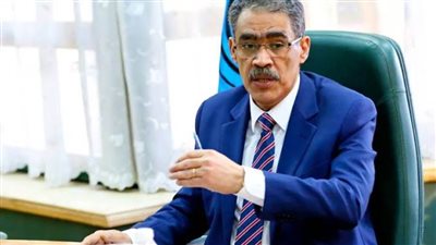 ضياء رشوان : جهود مصرية لزيادة عدد شاحنات الإغاثة لغزة لـ80 يوميًا