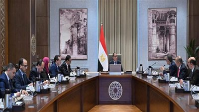 رئيس الوزراء يتابع ملفات تخصيص الأراضي للمستثمرين والاستفادة من الرمال البيضاء
