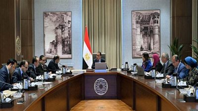 رئيس الوزراء يستعرض مقترحات زيادة التبادل التجاري مع الدول الإفريقية (صور)