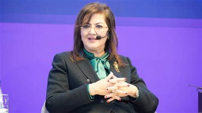وزيرة التخطيط: الاستثمارت الاجنبية ارتفعت في مصر خلال العام الماضي رغم التحديات