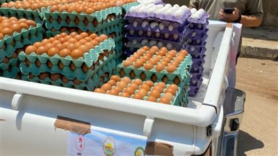 بأسعار مخفضة .. الزراعة تواصل ضخ السلع الغذائية في منافذها