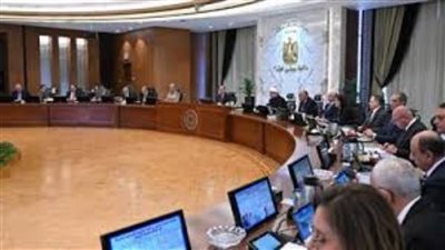 رئيس الوزراء يتابع مع وزير قطاع الأعمال جهود تطوير محالج القطن وإعادة تأهيلها