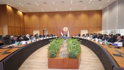 وزير التعليم العالي يرأس اجتماع مجلس المراكز والمعاهد والهيئات البحثية (صور)