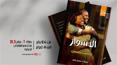 جديد قصور الثقافة بمعرض الكتاب.. 12 عنوانًا بينها 8 روايات في سلسلة 