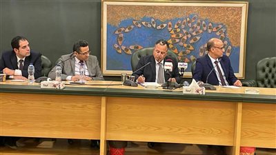 وزير الخارجية الأسبق: إسرائيل دولة خارجة عن القانون