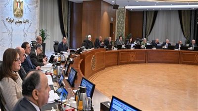 وزير المالية يستعرض موقف مبادرة استيراد سيارات المصريين بالخارج