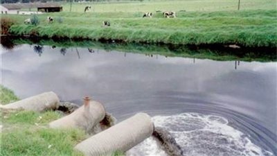 وزير العمل: إعلان أرقام مُخرجات مشروع 