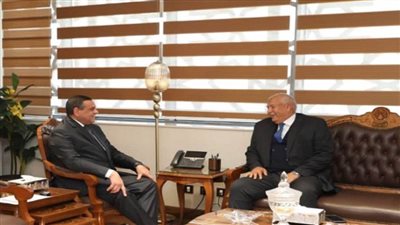 وزير التنمية المحلية يتابع مع محافظ الوادي الجديد المشروعات الخدمية والتنموية