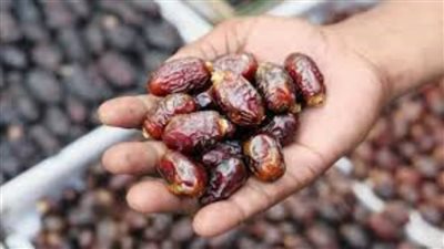 الزراعة: ارتفاع صادرات التمور إلى 150 ألف طن