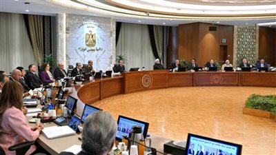 مجلس الوزراء يحدد سعر ضمان لتوريد القطن للموسم 2024/2025