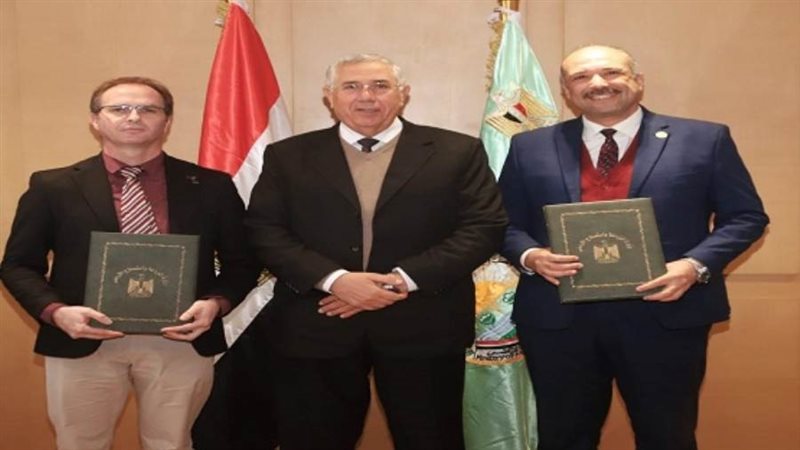 الشورى