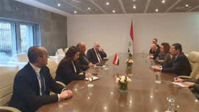 شكري: ترجمة التوافق السياسي والعلاقات المتميزة بين مصر وقبرص إلى تعاون ملموس