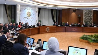 رئيس الوزراء يترأس اجتماع المجلس الوطني للهيدروجين الأخضر