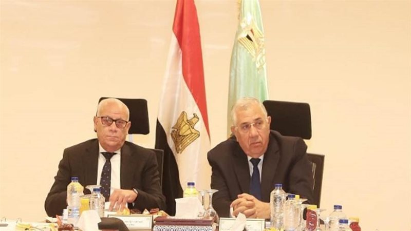 الشورى