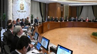 الوزراء يحدد 2000 جنيه سعر توريد أردب القمح لموسم 24/ 2025 (صور)