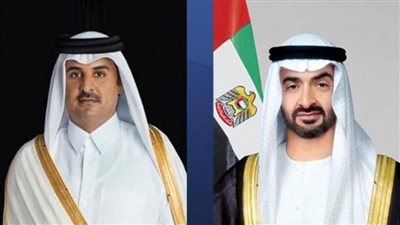 رئيس الإمارات وشيخ الأزهر يؤكدان ضرورة وصول المساعدات إلى غزة