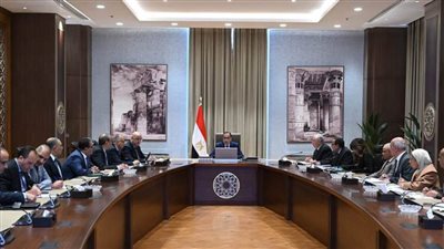 رئيس الوزراء يتابع الموقف التنفيذي لمشروعات تنمية سيناء