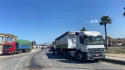 رئيس جهاز مدينة دمياط الجديدة يتفقد أعمال تطوير ورفع كفاءة محاور الطرق بمنطقة الميناء وما حولها