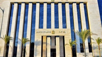 العمل تُصدر تقريرًا بشأن جهودها لمواجهة الهجرة غير الشرعية