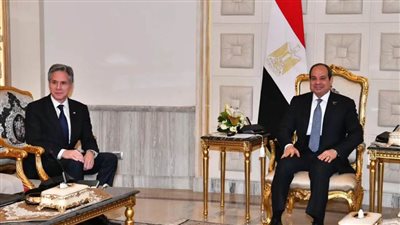 السيسي وبن زايد يدعوان لوقف إطلاق النار في غزة وتفعيل حل الدولتين