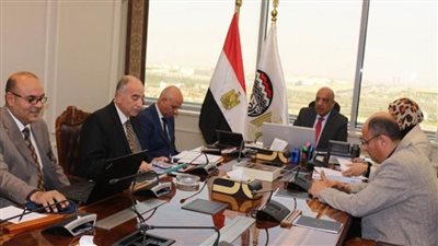 وزير قطاع الأعمال يستعرض خطة تطوير فروع التجارة الداخلية بالتعاون مع القطاع الخاص