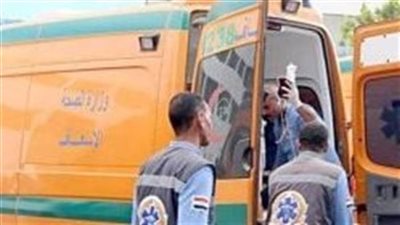 أسوان.. إصابة 11 شخصا في انقلاب سيارة ميكروباص بطريق أبوسمبل