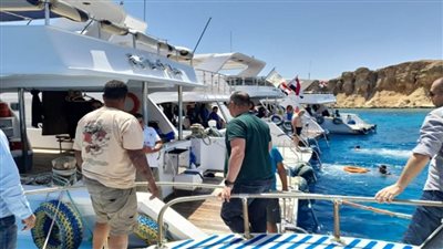 البيئة تواصل جهود الرصد الساحلي والمتابعة الدورية للمحميات الطبيعية بجنوب سيناء خلال فترة العيد (صور)