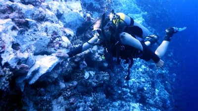 وزيرة البيئة: استمرار التحفظ على السفينة الدولية الجانحة بعد خروجها سالمة من موقع شحوطها دون وقوع أي تسرب لأية مواد ملوثة أو غازات