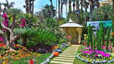 الزراعة تعلن موعد ومكان إقامة معرض زهور الربيع