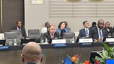 وزير المالية: جاهزون لنقل التجربة المصرية في التأمين الصحي الشامل للبلدان الإفريقية 