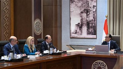 رئيس الوزراء يلتقي مسئولي 