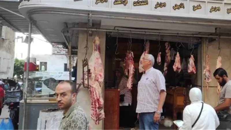 أرشفية