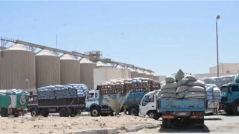 أرشفية