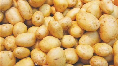الكيلو وصل 35 جنيها.. شعبة الخضروات توضح أسباب ارتفاع البطاطس بالأسواق