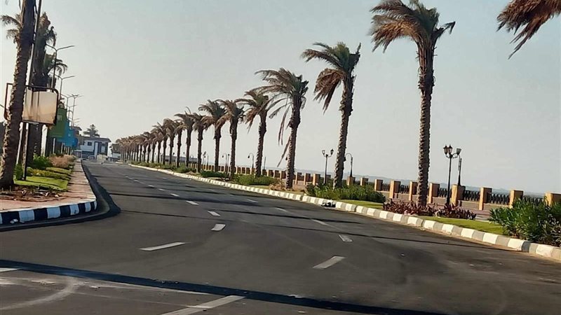 الشورى