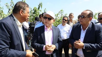محافظ كفر الشيخ يفتتح موسم حصاد الأرز بمزرعة ميت علوان