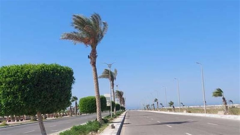 الشورى