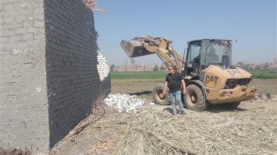 محافظ أسيوط: إزالة 20 حالة تعدٍ على أراضٍ زراعية وبناء مخالف بمركزي أبوتيج والقوصية وحي شرق