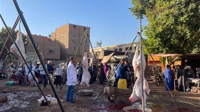 بيطري سوهاج يقود حملة كبيرة على الأسواق والمجازر بمركز المنشاة 