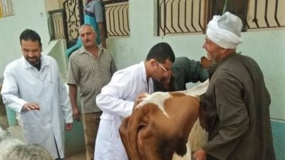 بيطري الشرقية: فحص وعلاج مواشي وطيور في قافلة بيطرية بالقرين