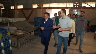 محافظ مطروح يتفقد خط إنتاج الرغيف المدعم بمجمع المخابز الآلية 