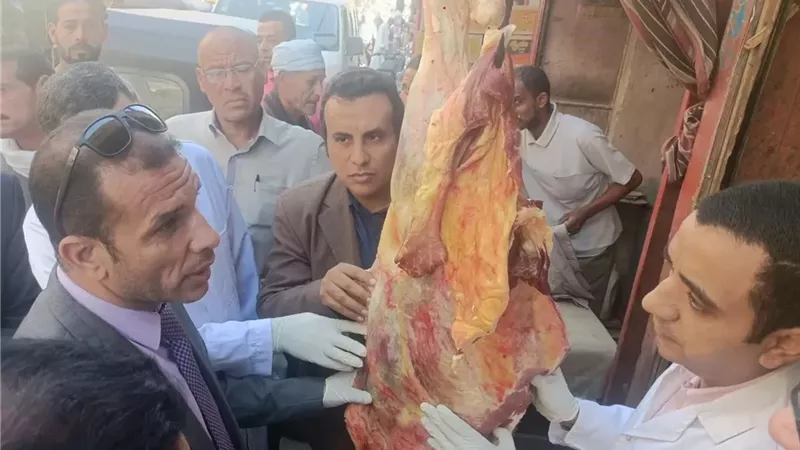 بيطرى سوهاج تقود