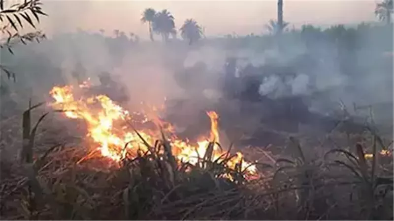 حريق - ارشيفية