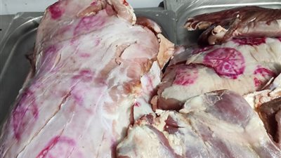 ضبط وإعدام 31 طن أغذية متنوعة ولحوم مجهولة المصدر بسوهاج 