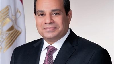 محافظ سوهاج يهنئ الرئيس عبد الفتاح السيسي بالعام الميلادي الجديد