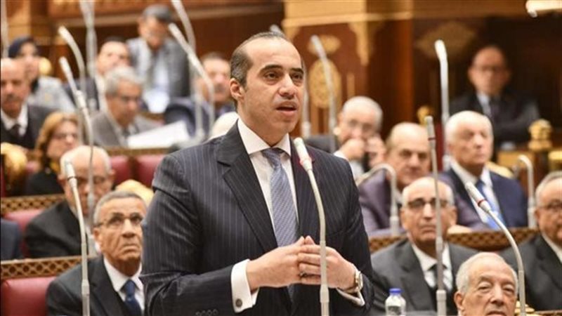المستشار محمود فوزي