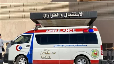 بسبب خلافات بينهما.. إصابة عامل بطلق ناري على يد شقيقه في سوهاج